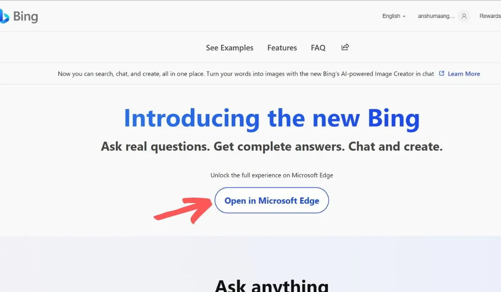 Bing